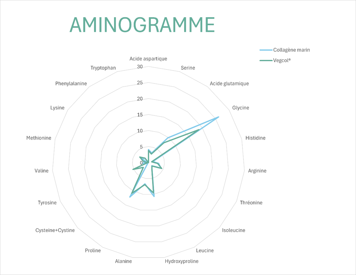 Aminogramme collagène végétal vs collagène marin